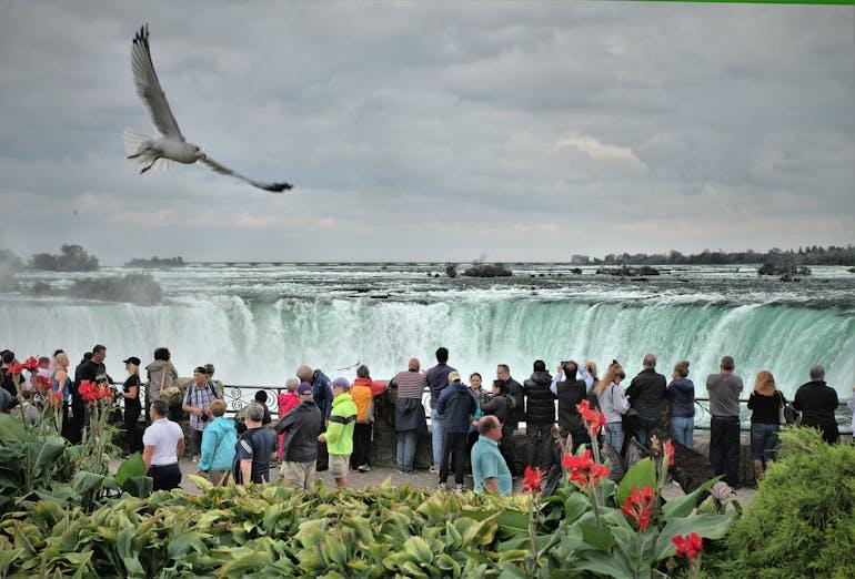 A crowd of people are leaning against a barrier admiring a waterfall. There is a bird flying across the sky on a cloudy day and bushes and flowers fill the bottom of the scene. 