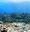 For the Dive & Stay scuba certification package, an underwater shot at the Galapagos Islands is shown with a rocky ocean bottom and blue water above.