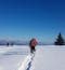 A person snowshoes through fresh snow in the Romanian Carpathian Mountains on a blue sky winter day. A few trees are in the background.