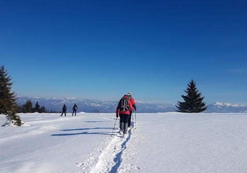 A person snowshoes through fresh snow in the Romanian Carpathian Mountains on a blue sky winter day. A few trees are in the background.