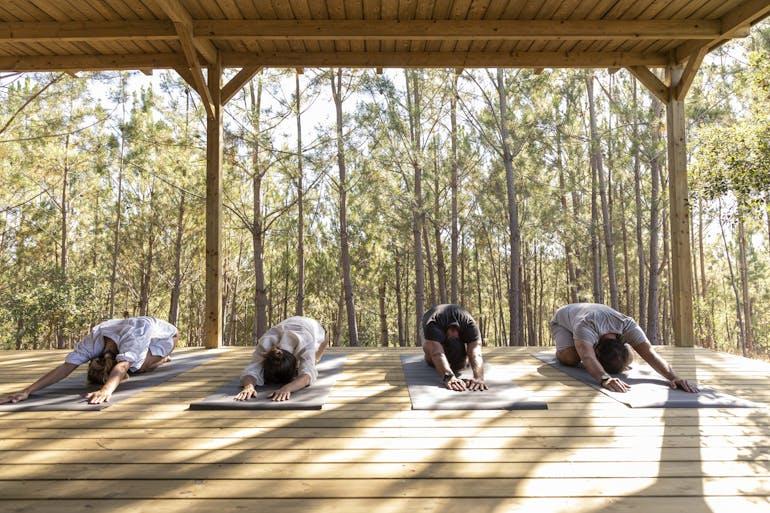 A group of 4 yogis rest in child's pose at a sustainable yoga retreat center in Portugal. They're practicing yoga in an outdoor shala in the woods with thin trees sunlight behind the yoga ground.