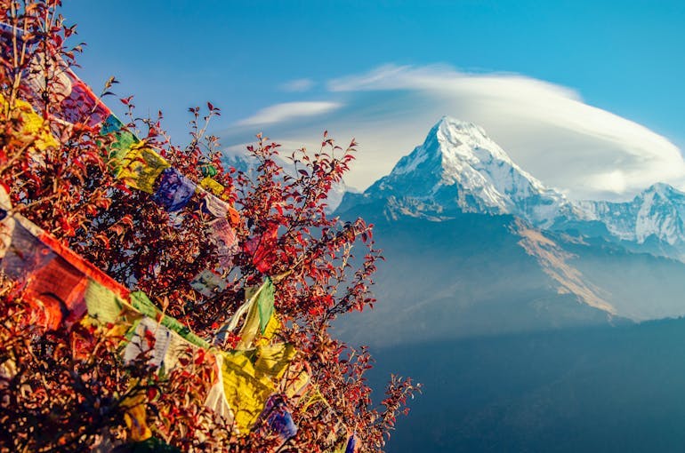 A stunning view of Mount Everest is shown in the sunlight, past colorful, bright fall foliage draped with Nepali prayer flags.