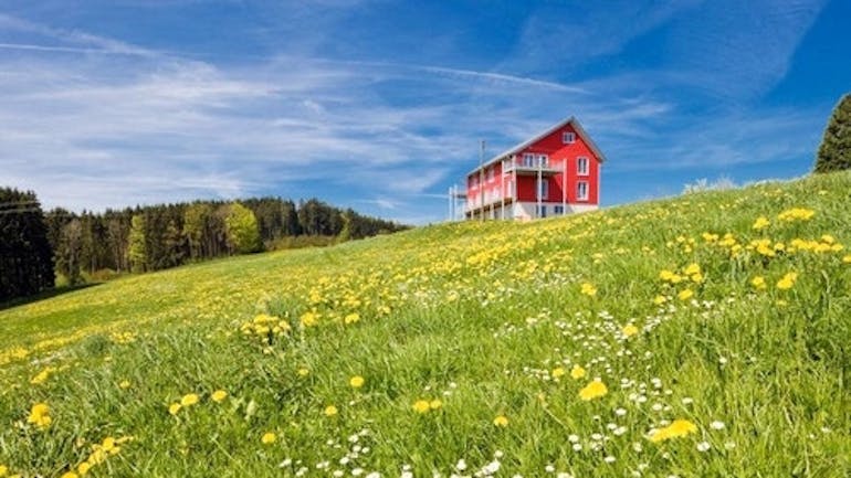 A red farm on a grassy green hill covered in small yellow flowers, with a blue sky overhead, in Mühlingen, Germany.