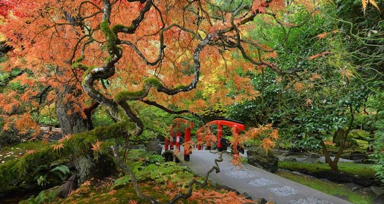 Photo of the Japanese Garden via butchartgardens.com