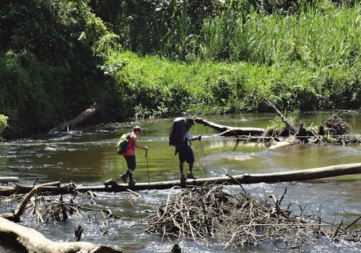 Two hikers on the Kokoda Track in Papua New Guinea carefully cross a log spanning a river. Jungle greenery is in the background. The river looks brown and there are tree trunks and sticks in it. The crossing looks precarious.