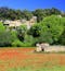 Blooming, bright red wild flowers in the Luberon region of Provence, France are in the foreground. A stone hut is set back in the field, with bright green trees and an old stone wall covered in more lush greenery behind it. The sky is a bright, sunny blue.