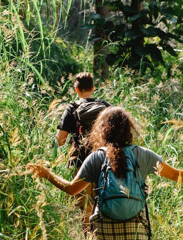 A young man and woman wearing day backpacks walk through a sunny field of tall grass with their backs to the camera. 